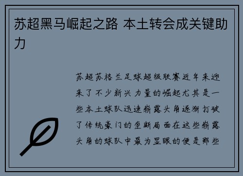 苏超黑马崛起之路 本土转会成关键助力 苏超黑马崛起之路 本土转会成关键助力