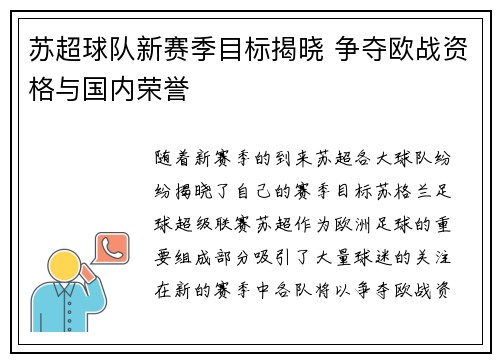 苏超球队新赛季目标揭晓 争夺欧战资格与国内荣誉 苏超球队新赛季目标揭晓 争夺欧战资格与国内荣誉